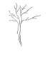 Baum dirdeins.de