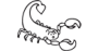 Skorpion dirdeins.de