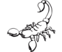 Sternzeichen Skorpion dirdeins.de